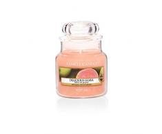 Yankee Candle bougie, Multiple Choix