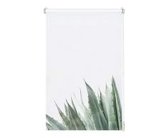 Gardinia EASYFIX Store Enrouleur Motif Agave 45 x 150, Polyester, Blanc, 45 x 150 cm