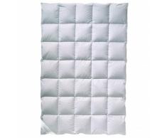 Billerbeck 5544660001 Dorothée 90 Mono Couette, Coton, Blanc, 200 x 135 cm