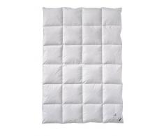 billerbeck Couette E07 Platinedition Cassette II 135 x 200 cm