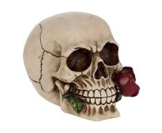Nemesis Now Figurine Rose Ivoire 13,5 cm Taille 17 cm