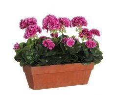 MICA Decorations Geranium Violet dans Un Coffre de Balcon Terra â L 39 x l 13 x H 40 cm