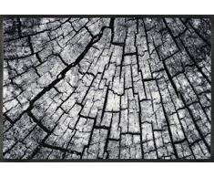 Wash + Dry Timber Tapis, Surface en Polyamide, Gris, 50 x 75 cm