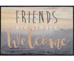 Wash+Dry Welcome Friends Tapis, Surface en Polyamide, Coloré, 50/75