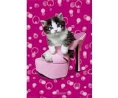 1art1 36787 Poster Chats Jadore les Chaussures 91 x 61 cm