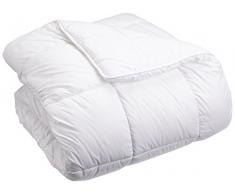 AmazonBasics Couette dhiver en microfibre 2 couches 140Â xÂ 200Â cm