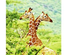 Scenolia Tableau dÃ©coration Murale GIRAFES 90 x 90 cm | dÃ©co Design imprimÃ©e en France