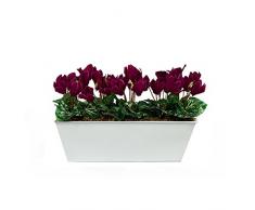 GreenBrokers Limited Coffret Artificielle Violet Cyclamen Jardinière, Blanc Tin bac à Nourriture Pot de Fleurs 45 cm