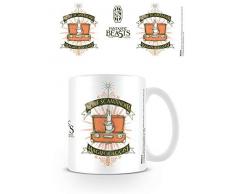 Les Animaux Fantastiques MG24256 Fantastic Beasts (Magical Case) Mug, Céramique, Multicolore, 11oz/315ml