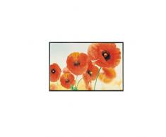 Wash+Dry Tapis, Surface en Polyamide, Rouge, 50 x 75 cm