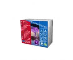 Konstsmide 3627-450 Guirlande 40 Micro LED Violettes + Câble Noir 24 V