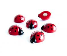 first4magnetsâ¢ TF-FW3536 Assortiment de Style Animaux Bureau aimants - coccinelles, Argent