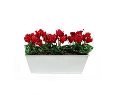 GreenBrokers Limited Coffret Artificielle Rouge Cyclamen Jardinière, Blanc Tin bac à Nourriture Pot de Fleurs 45 cm