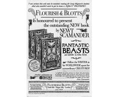 Pyramid International Poster Les Animaux Fantastiques, Multicolore, 61x91, 5cm