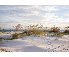 Scenolia Tapisserie Toile Textile Plage et Dune de Sable Blanc 3 x 2,70m - Décoration Murale Effet Trompe lâOeil - Revêtement Panoramique Poster XXL - Pose Facile et Qualité HD