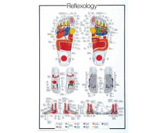 Empire Merchandising GmbH Consignment 536822 Poster éducatif Réflexologie 68 x 98 cm