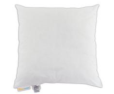 Kissenoutlet24 Oreiller de qualitÃ© supÃ©rieure - en Coton - Blanc - 50 x 50 cm