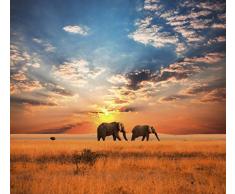 Papier Peint dÃ©co poster SAVANE AFRICAINE 3 x 2,70 m | DÃ©co et photo murale XXL QualitÃ© HD Scenolia