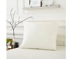 Sweetnight - ProtÃ¨ge Oreiller 65x65 cm | Viscose Soyeuse et Confortable | Doux et Absorbant | Zip de Fermeture | QualitÃ© HÃ´tellerie de Luxe