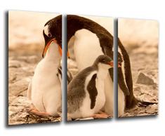 Tableau Moderne Photographique, Impression sur bois, Pingouins sur la plage, Nature, 97 x 62 cm, ref. 26126