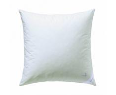 Billerbeck Platine 50 5454250001 Oreiller Ãdition platine 80 x 80 cm