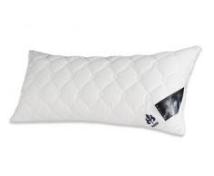 Badenia Bettcomfort Irisette Edition, Oreiller, Blanc, 40 x 80 cm