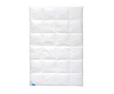 BÃ¶hmerwald 309601-22 Couette Ã cassettes Hauteur 4Â cm 200 x 200 cm