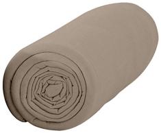 Today 201153 Drap housse Coton Beige 140 x 200