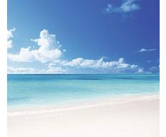 Papier Peint dÃ©co poster ENTRE CIEL ET TERRE 3 x 2,70 m | DÃ©co et photo murale XXL QualitÃ© HD Scenolia