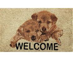 Coco&Coir® Paillasson en fibre de coco | 100 % Fibre de Coco Naturelle avec endos en PVC | Tapis Coco Premium | Paillasson très Absorbant | Tapis dEntrée, Exterieur et Intérieur