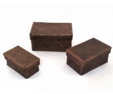 Franz Müller 87670 Lot de 3 boîtes de Rangement avec Couvercle