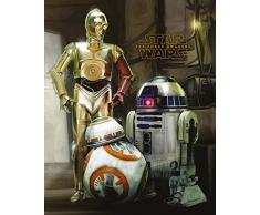 Pyramid International Droids Star Wars Episode VII Mini Poster Plastique/Verre Multicolore 40 x 50 x 1,3 cm