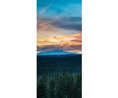 PeelitStickit ID-047 60 Largeur x Hauteurâ¯: 130 cm Forêt de Haute qualité en Vinyle Papier Peint Mural