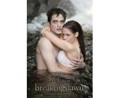 Empire Poster du film RÃ©vÃ©lation (Breaking Dawn) Twilight Edward & Bella dans leau