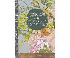 Webster Pages Couleur de Crush Agenda Personnel A5 insère Tenue inspiré â 3 Designs, Acrylique, Multicolore