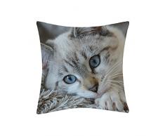 Douceur de France Coussin Imprimé Chat 2, Polyester, Multicolore, 40x40x15 cm
