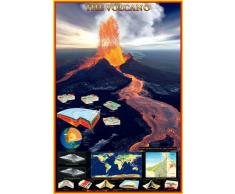 Le Volcan Poster éducatif , env. 61 x 91,5 cm, multicolore
