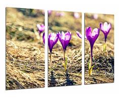 Tableau Moderne Photographique, Impression sur bois, Fleur Décoration Purple Nature, 97 x 62 cm, ref. 26817