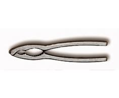 Deglon 2883015-C Casse Noix Inox Casse- Pattes de Crabes