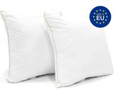 ZenPur Oreiller 60x60 Micro-Fibre Doux et Gonflant (Lot de 2)