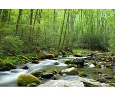 Tapisserie poster panoramique FORET DE SHERWOOD 4 x 2,70 m | Déco et photo murale XXL Qualité HD Scenolia