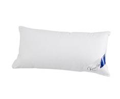 Unbekannt Oreiller Coton, Blanc, 40 x 80 x 10 cm