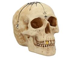 Nemesis Now Dead Mans Map Figurine tÃªte de Mort en rÃ©sine Blanc 17,5 cm Taille Unique