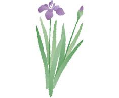 Indigos 4051719902129 Sticker Mural, Bunt, 60 x 29 cm