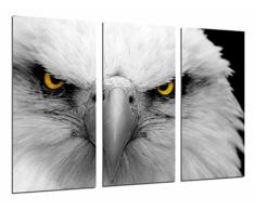 Tableau Moderne Photographique, Impression sur bois, Aigle blanc impérial animal, Yeux jaunes, 97 x 62 cm, ref. 26813