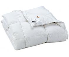 Billerbeck 5542250007 Couette Goldedition Mono 155 x 220 cm