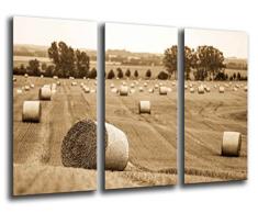 Tableau Moderne Photographique, Impression sur bois, Culture rurale du paysage, 97 x 62 cm, ref. 26221