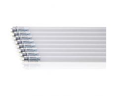AmazonBasics Professional Lot de 8 tubes LED T8 1200Â mm 1600Â lumens 14,5Â W (Ã©quivaut Ã 36Â W) Blanc froid 6500Â K G13