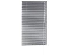 Blindecor 2101 Store vÃ©nitien en Aluminium avec Lames de 25Â mm Moderne 90X250 Argent