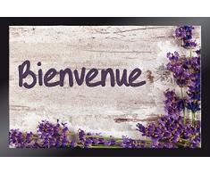 ID Mat Tapis Paillasson, 100% Fibres Polyamide sur Semelle PVC, Beige, 40 x 60 cm